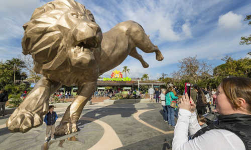 esk8 san diego zoo tour
